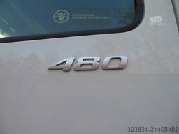 DAF XF 106.480, LOWDECK, STANDKLIMA, NEUE TACHO GEN2