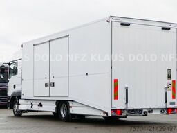 MAN TGL 8.250 geschloss. Autotransp. Moetefindt