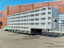 Pezzaioli 5 deck livestock trailer - Water & Ventilation ...