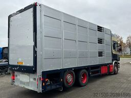 Scania R420 6x2 Topline / 3 Stock Animal Transport / R...