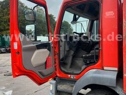 DAF LF 250 FA 4x2 Pritsche