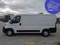 Opel Movano 140 cv l2h1 sms