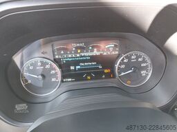 FORD F-MAX 500