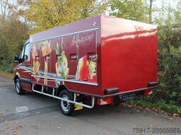 MERCEDES-BENZ Sprinter 310  Cold Car -33°C