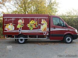 MERCEDES-BENZ Sprinter 310  Cold Car -33°C