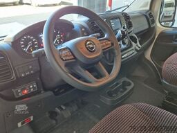 FIAT 3x Ducato 2x Opel Movano 18 SS in Stock