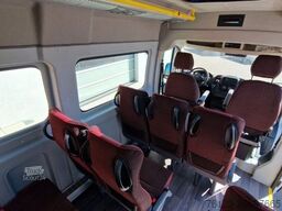 FIAT 3x Ducato 2x Opel Movano 18 SS in Stock