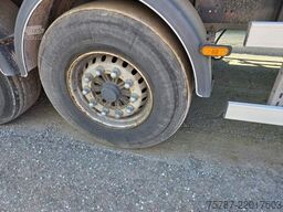 WIELTON 50 cbm Getreidemulde, Pendelklappe,Kornschieber