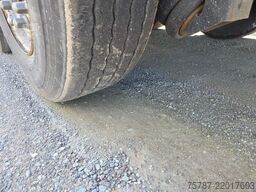 WIELTON 50 cbm Getreidemulde, Pendelklappe,Kornschieber