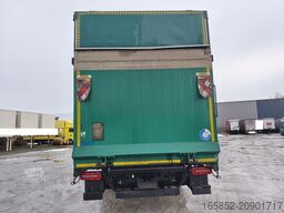 MAN TGM 15.250 Gardine Euro 6 4x2 LBW (51)
