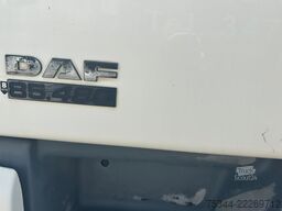 DAF CF 85.480