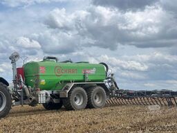 Eckart Lupus 191+