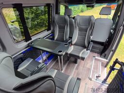 MERCEDES-BENZ 319 StockSprinter VIP Shuttle 9 SS  Panoramadach