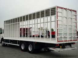 VOLVO FM 380 / SOLÓWKA / 6X2 / DO PRZEWOZU ?YWCA  /  