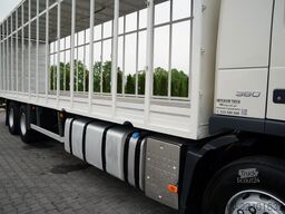 VOLVO FM 380 / SOLÓWKA / 6X2 / DO PRZEWOZU ?YWCA  /  