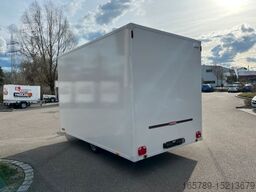 WOERMANN Pikanto 1538/215