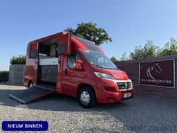 Fiat Ducato | HORSETRUCK | LR | STALLION 3XL | 2015 ...