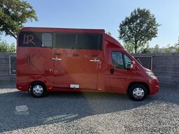 Fiat Ducato | HORSETRUCK | LR | STALLION 3XL | 2015 ...