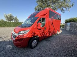 Fiat Ducato | HORSETRUCK | LR | STALLION 3XL | 2015 ...