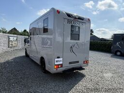 Renault Master | HORSETRUCK | STX | STALLION 5 | 2014 |...
