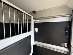 Renault Master | HORSETRUCK | STX | STALLION 5 | 2014 |...