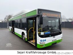 MAN A21 CNG Klima / Citaro / A20 A78 / 9 x auf Lager