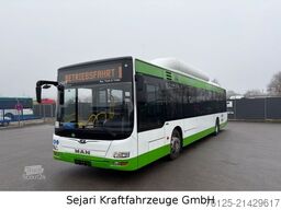 MAN A21 CNG Klima / Citaro / A20 A78 / 9 x auf Lager