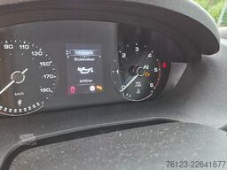 FIAT Ducato 9 Sitzer Mobility Airlineboden Rolli