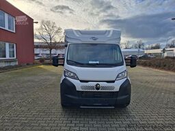 CARADO T 447