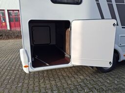 CARADO T 447