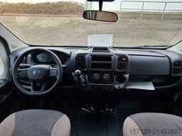 CARADO T 447