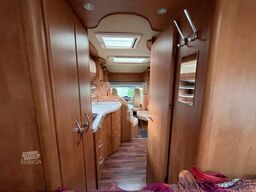 CARTHAGO Chic T 47 - Festbett - - Solar -