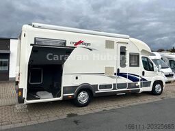 CARTHAGO Chic T 47 - Festbett - - Solar -