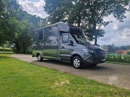 Mercedes Sprinter 4,1 T paardenwagen, automaat hengsten ...