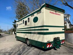 DAF LF 55250 Niehoffaufbau 6 Pferde