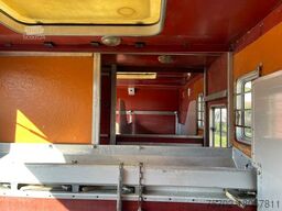 DAF LF 55250 Niehoffaufbau 6 Pferde