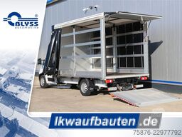 OPEL Movano Schiebeplane 420x220x220 LBW