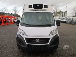 FIAT Ducato 130 *Carrier Tiefkühler*Euro6*
