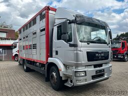 MAN 18.340 Doppelstock Viehtransporter /Menke Aufbau