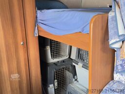 Ford Transit rimor