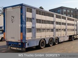 Finkl 3 Stock Hubdach Vollalu Viehauflieger