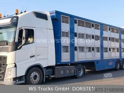 VOLVO FH 460  + Finkl 3 Stock Hubdach