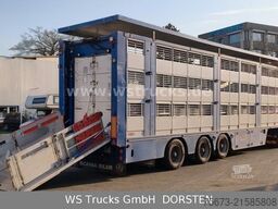 VOLVO FH 460  + Finkl 3 Stock Hubdach