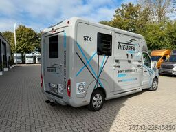 RENAULT Master STX 3 Sitzer  Haras / Hengste