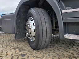 SCANIA P 360 DA4X2MNA / LOW KM !!!