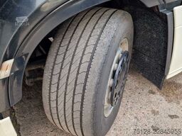 DAF 460, Retarder, Bullfänger, Limited Edition