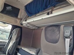 DAF 460, Retarder, Bullfänger, Limited Edition