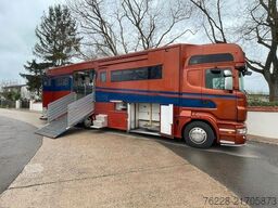 SCANIA Pferdetransporter