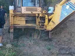 Terna articolata WB98A-2