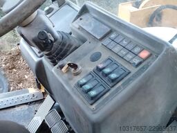 Terna articolata WB98A-2